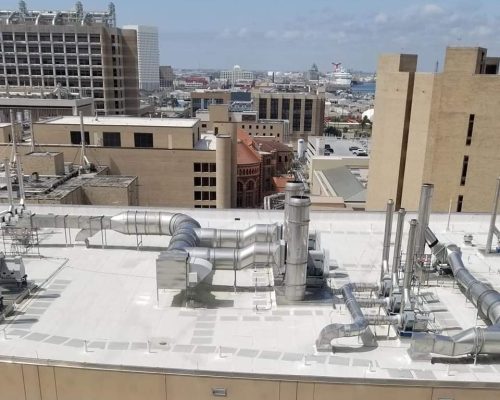 65100288_2032019340232850_7049522911769526272_n